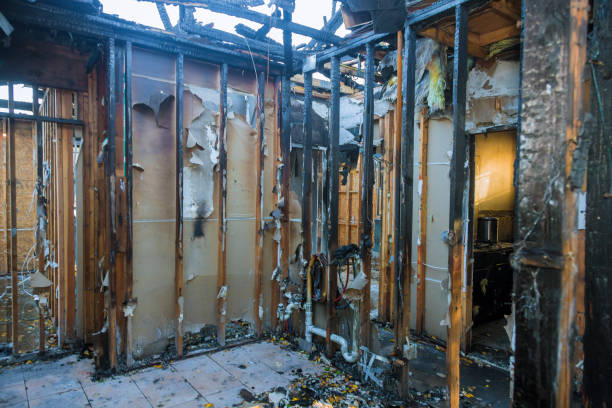 Professional Fire Damage Removal technician working in St. Michaels, MD